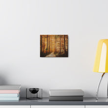 Load image into Gallery viewer, &quot;Forest&quot;
